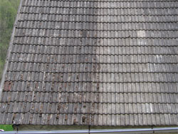 Ukázka střechy ošetřené mechostopem
