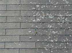 Ukázka střechy ošetřené mechostopem